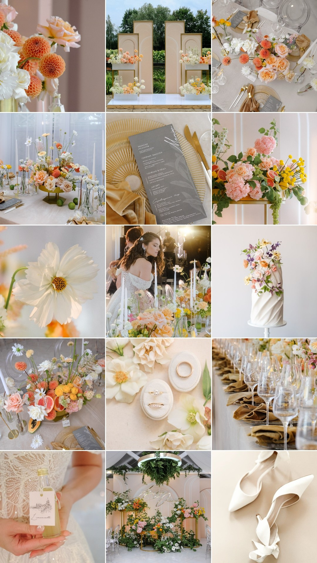 Жан Реми / MariDim. Основное