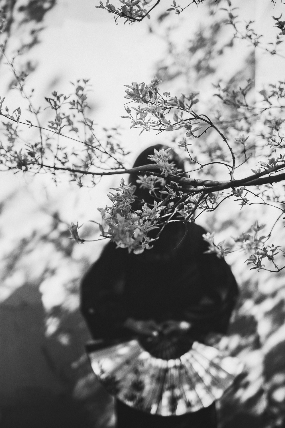 Сакура в саду дружбы. Семейный, портретный и свадебный фотограф в Санкт-Петербурге и Москве