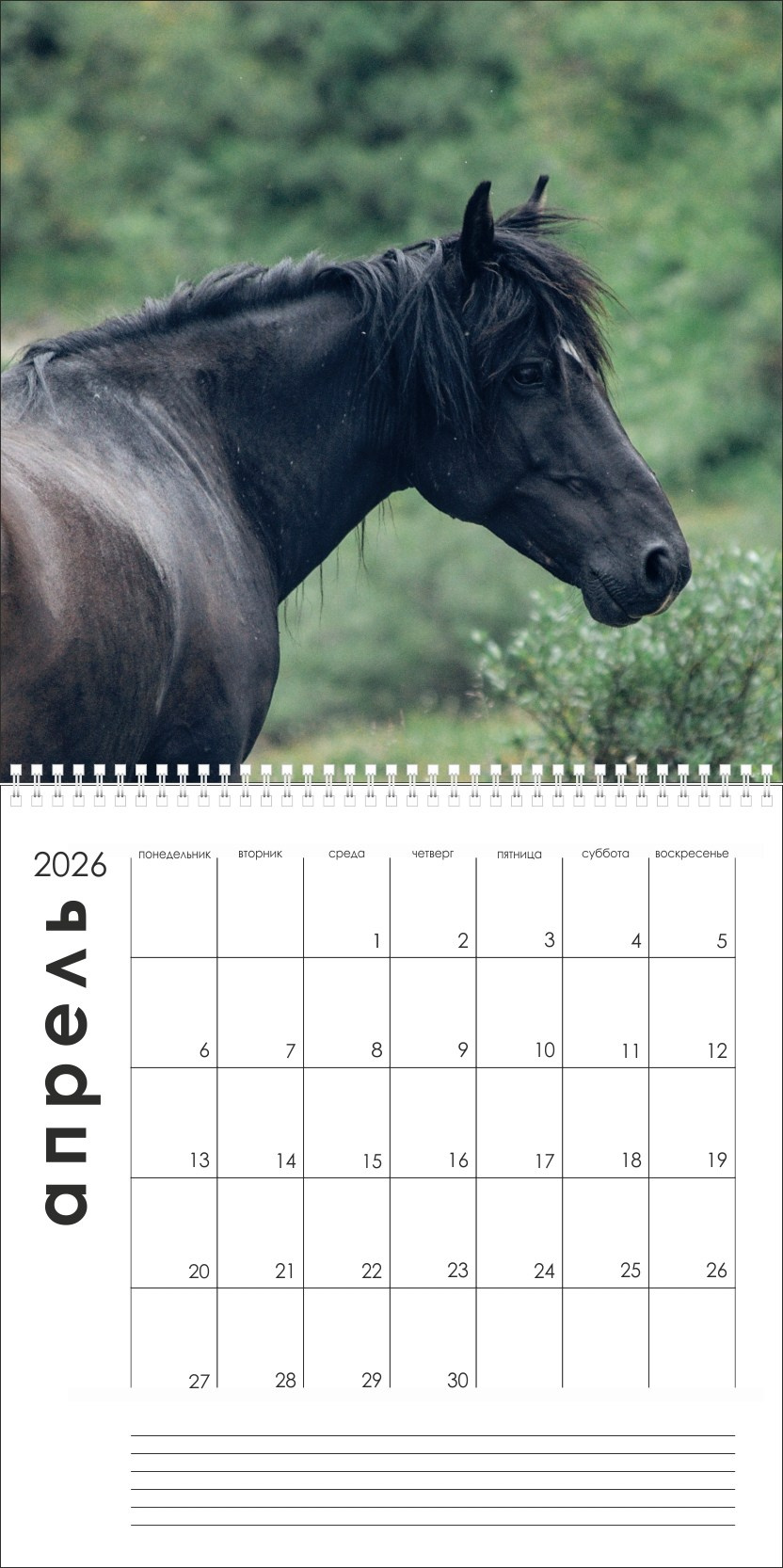 Календарь на 2026г. Лошади
