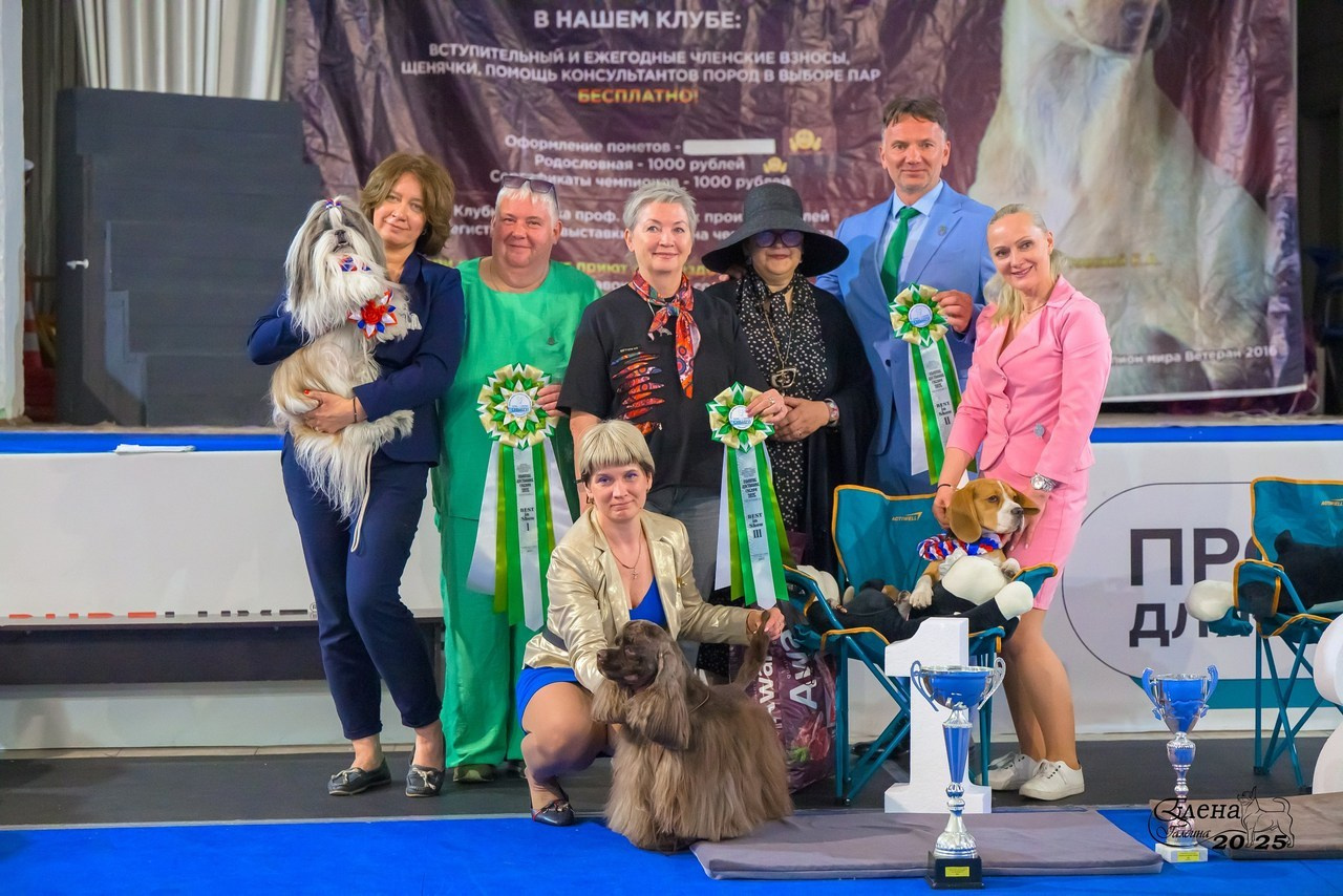 Отзывы. Фотограф анималист Елена Галдина г. Красноярск