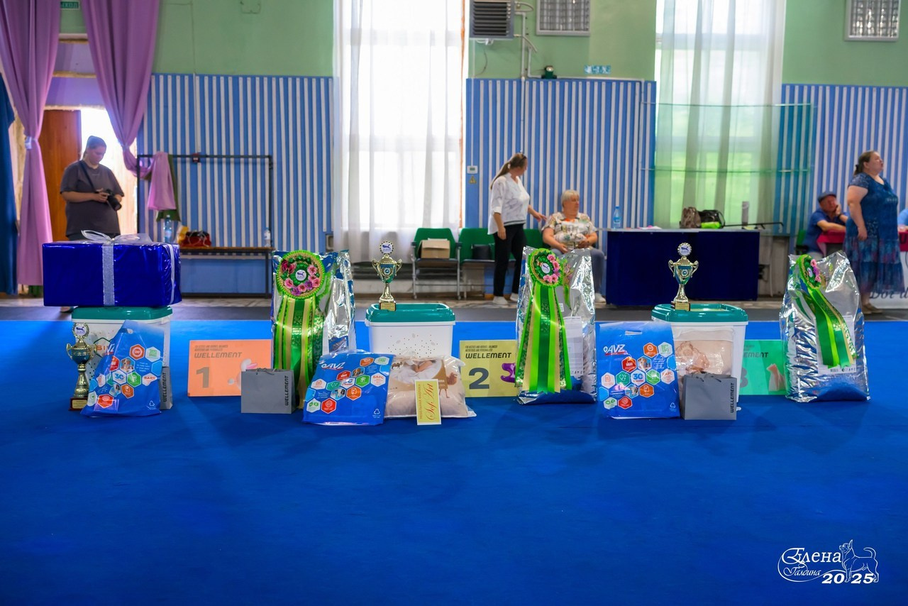 Отзывы. Фотограф анималист Елена Галдина г. Красноярск