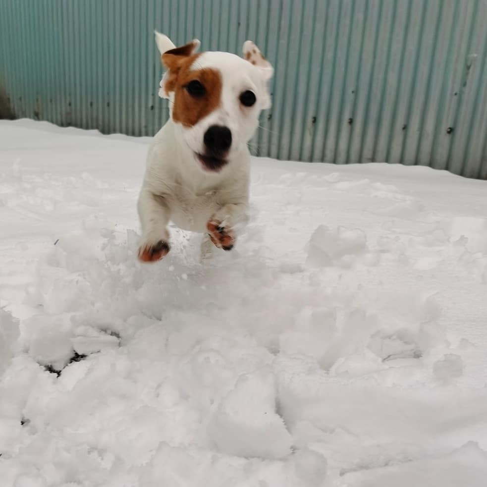 Anka`s Instagram. Заставка