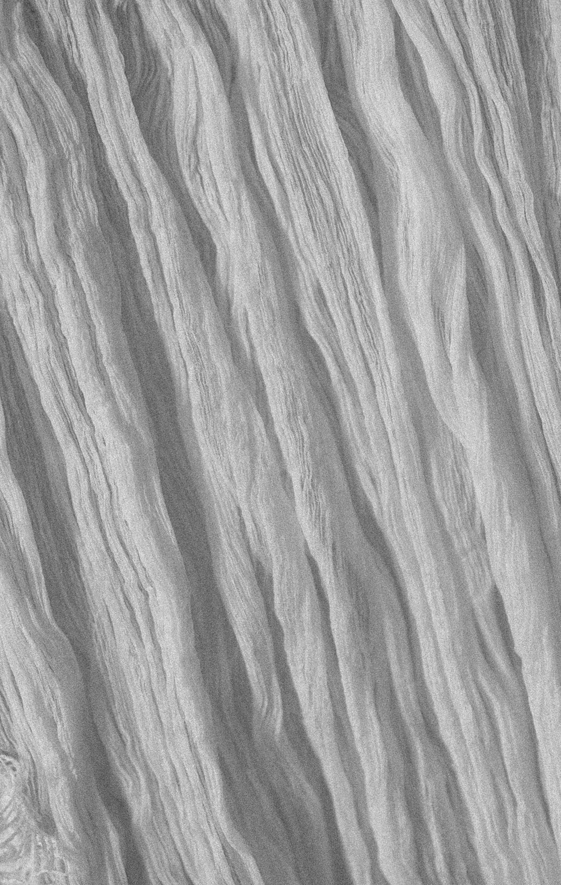 Тата и Влад. Фотограф Юлия Обрезкова Нижний Новгород