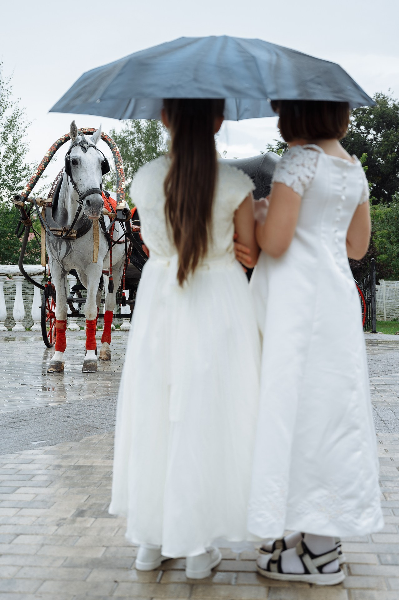Александр + Мила. Свадебный и семейный фотограф в Сергиевом Посаде, Москве и Московской