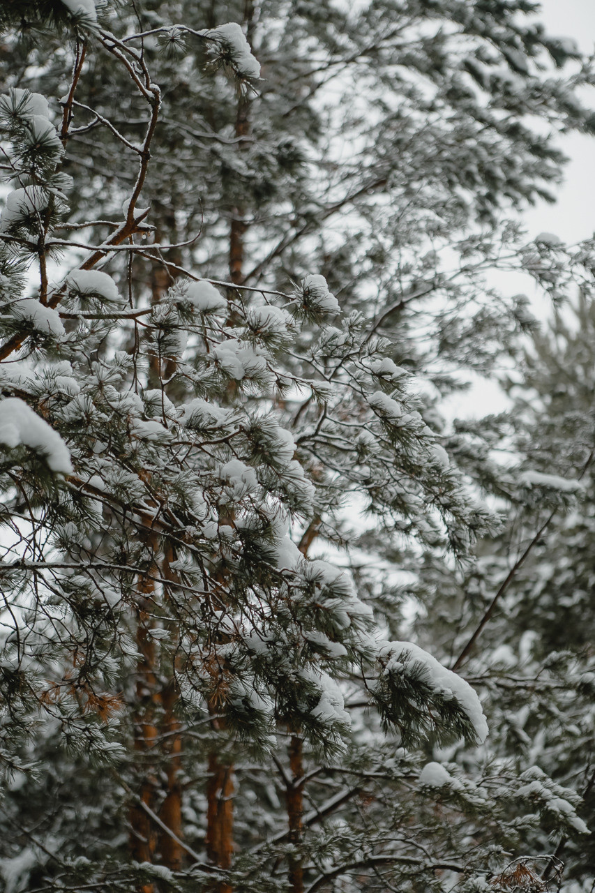 Ева и Денис. Семейный и свадебный фотограф в Нижнем Новгороде