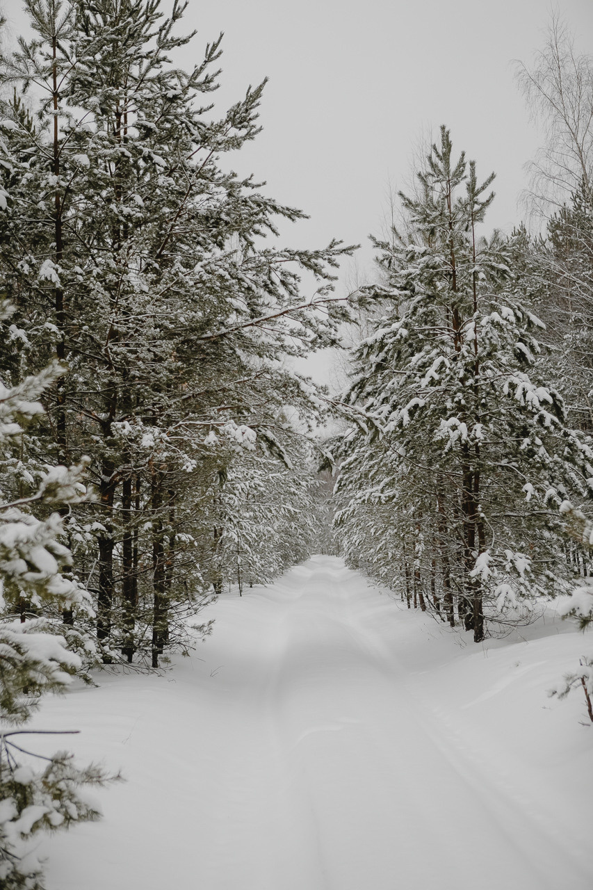 Ева и Денис. Семейный и свадебный фотограф в Нижнем Новгороде