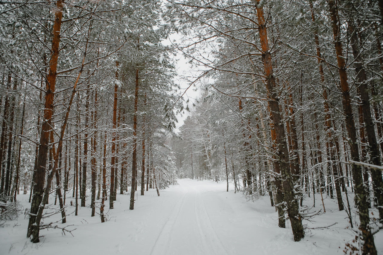 Ева и Денис. Семейный и свадебный фотограф в Нижнем Новгороде