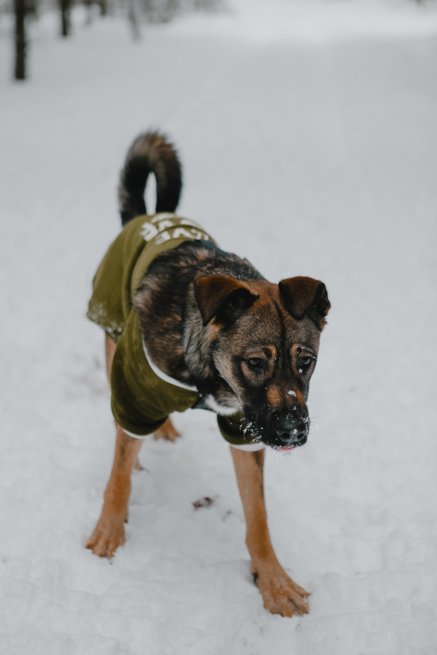 Ева и Денис. Семейный и свадебный фотограф в Нижнем Новгороде