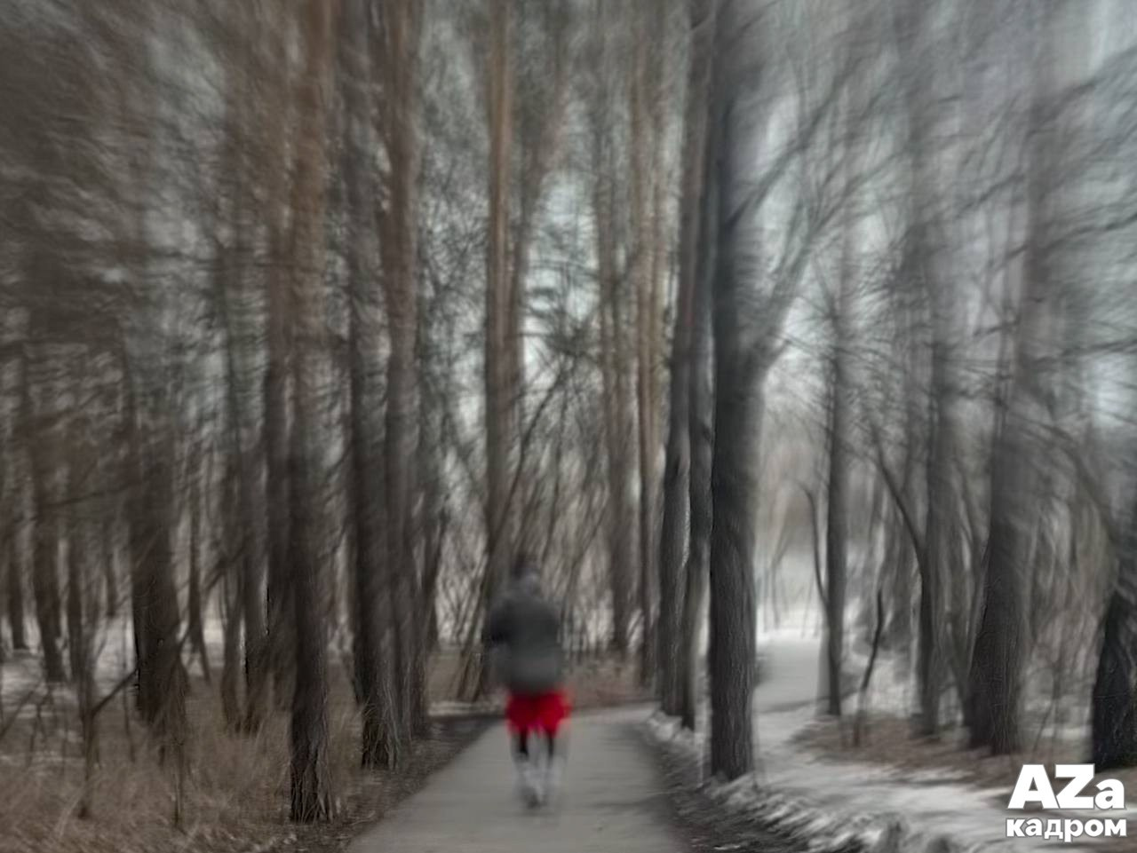 AZакадром «В поисках красного». Женский семейный фотограф Тула Москва Захарова Анна