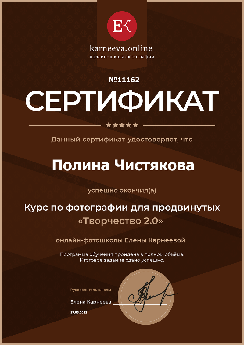 Мои достижения. Фотограф в г. Ярославле. Полина Чистякова