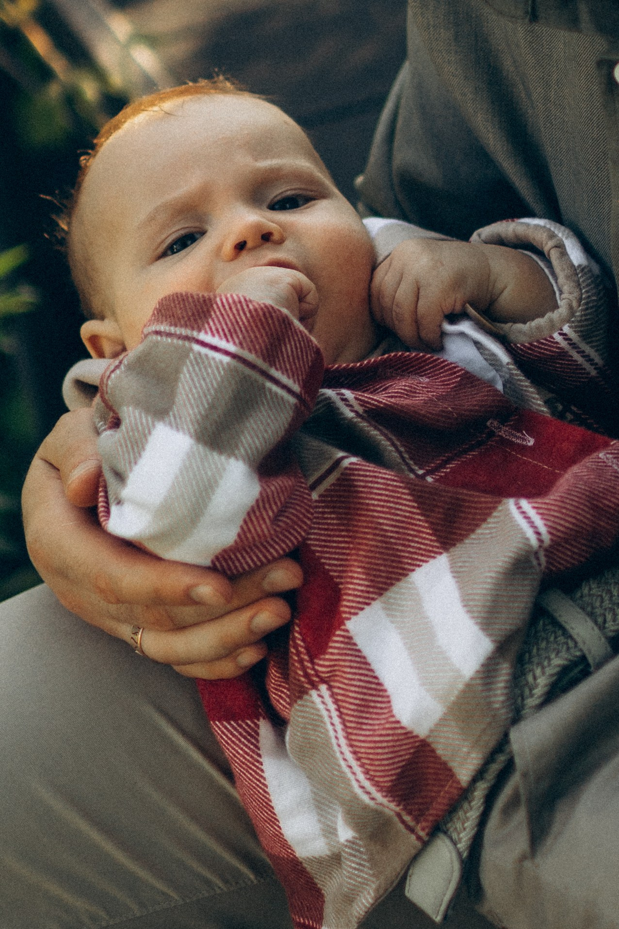 Лето, дача и вкусный ягодный пирог). Семейный фотограф в Москве Валерия Карпова