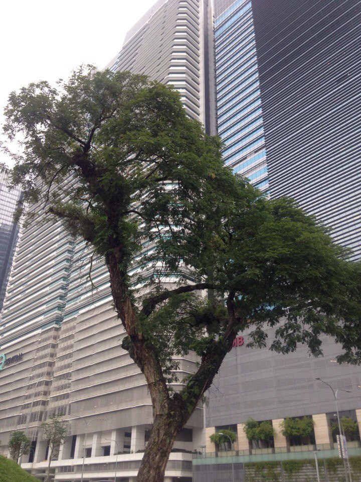 Архитектура. Фотограф Мельник Ирина. Москва