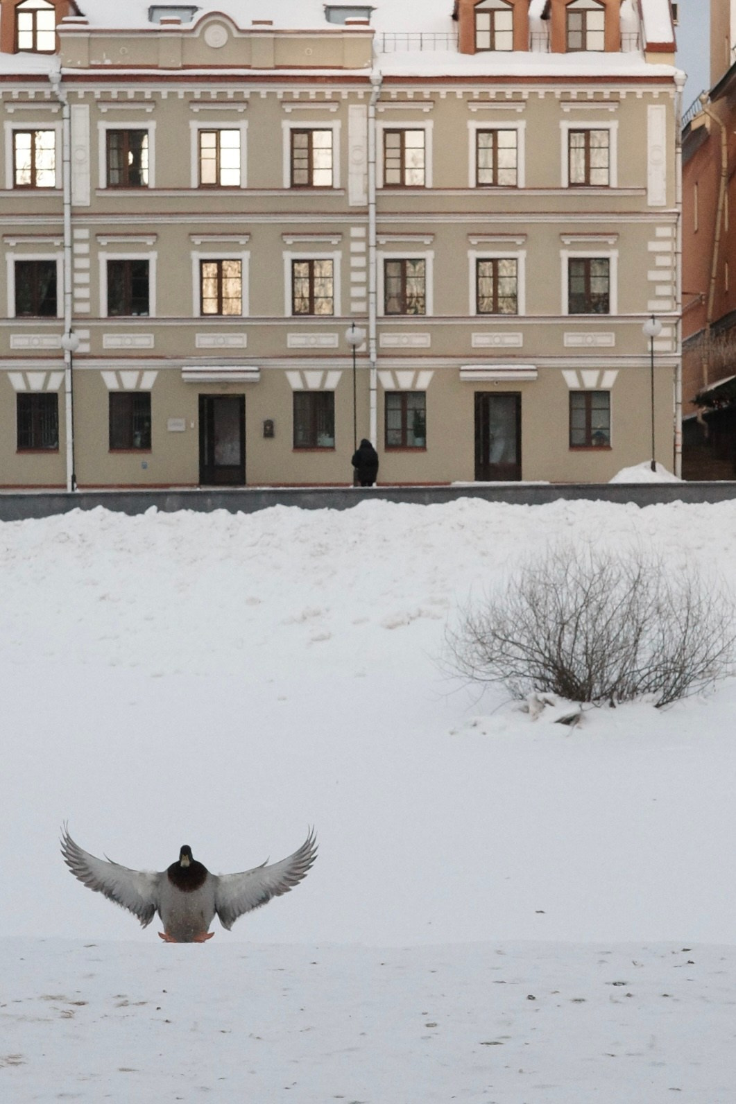 Псков. Фотографъ Сергѣевъ. Поймать мгновеніе
