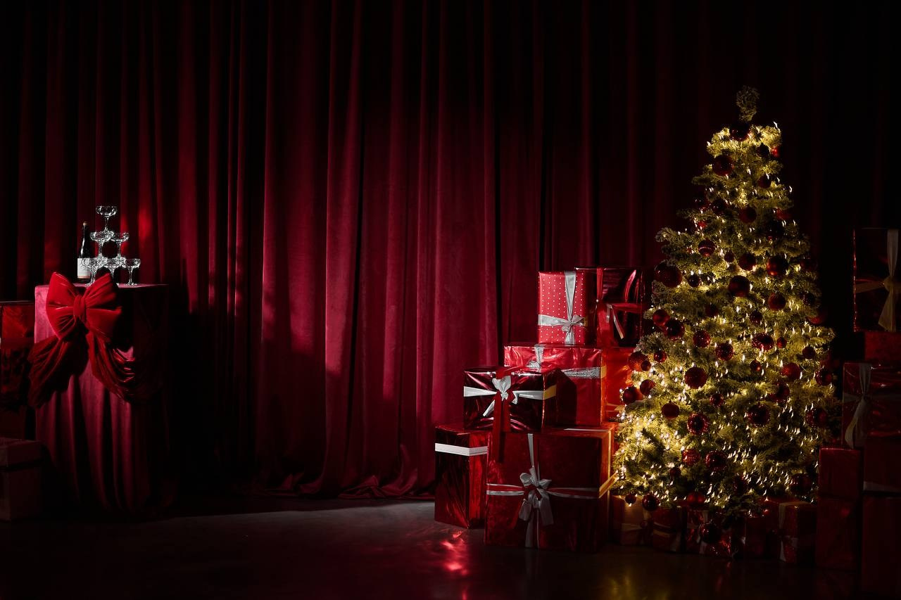 Новогодняя фотосессия в Туле. Портретный, семейный, свадебный фотограф. Бизнес, контент съёмка. Тула