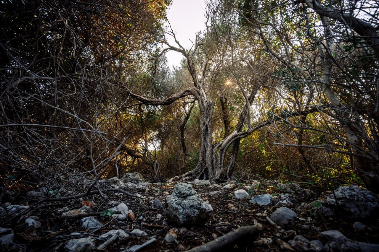 ликийская тропа