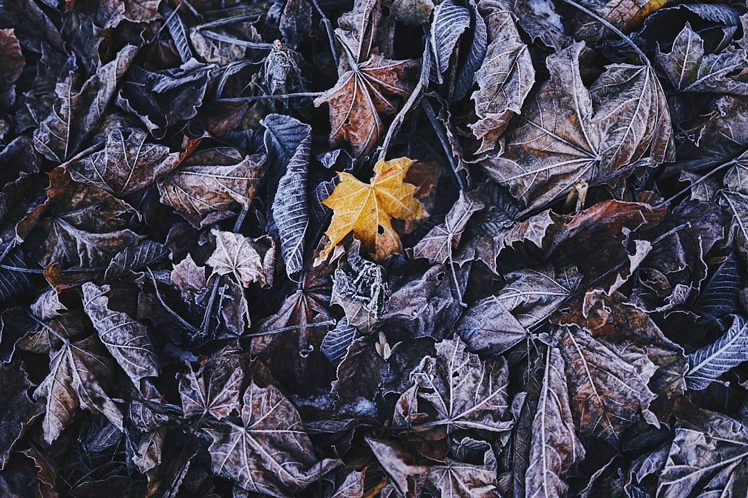 Фотографии с похода на водопад Поликария. Фотограф в Сочи Катя Гончарова