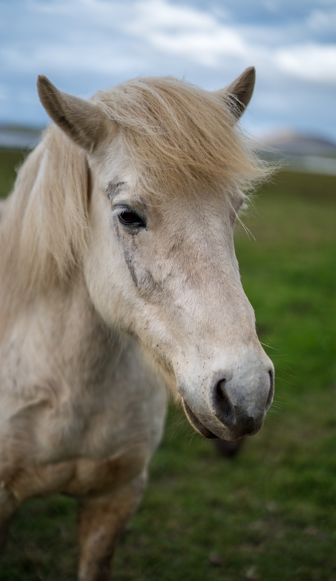 Исландия (август 2018). Фотограф Сергей Танков