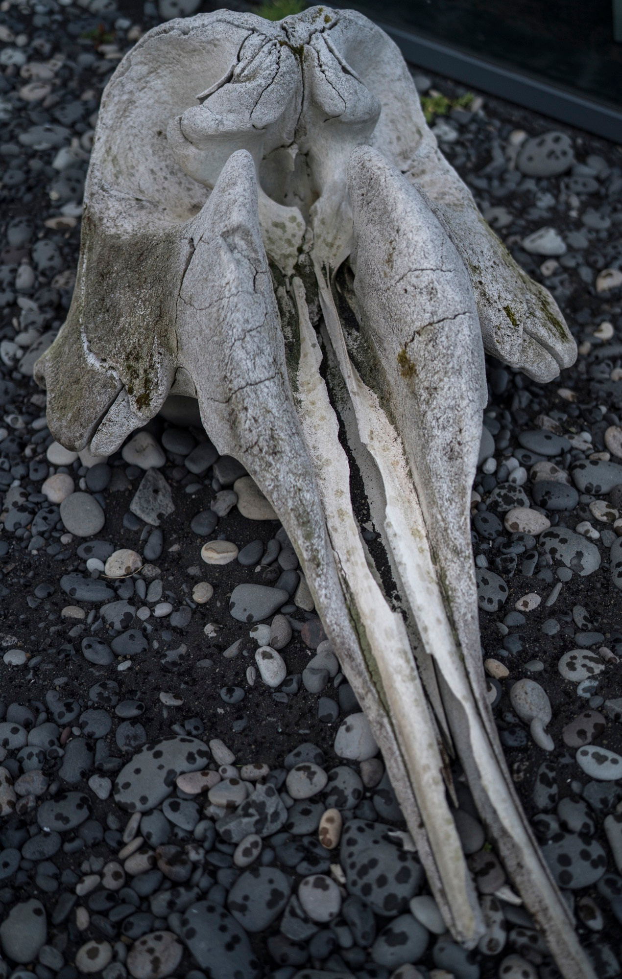 Исландия (август 2018). Фотограф Сергей Танков