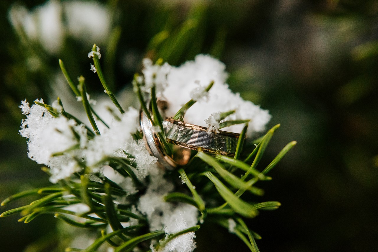 Подборка разных свадеб 2017-2020. Фотограф Дмитрий Сермяжко