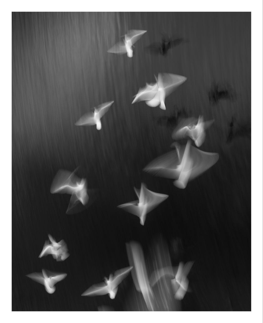 Облачный поток. Мастерская Демченко