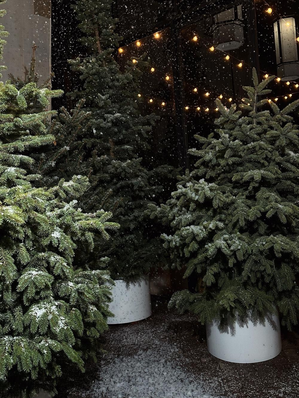 Фотостудии для свадебной фотосессии в Краснодаре. Свадебный фотограф и видеограф Краснодар, Ростов, Сочи, Новороссийск