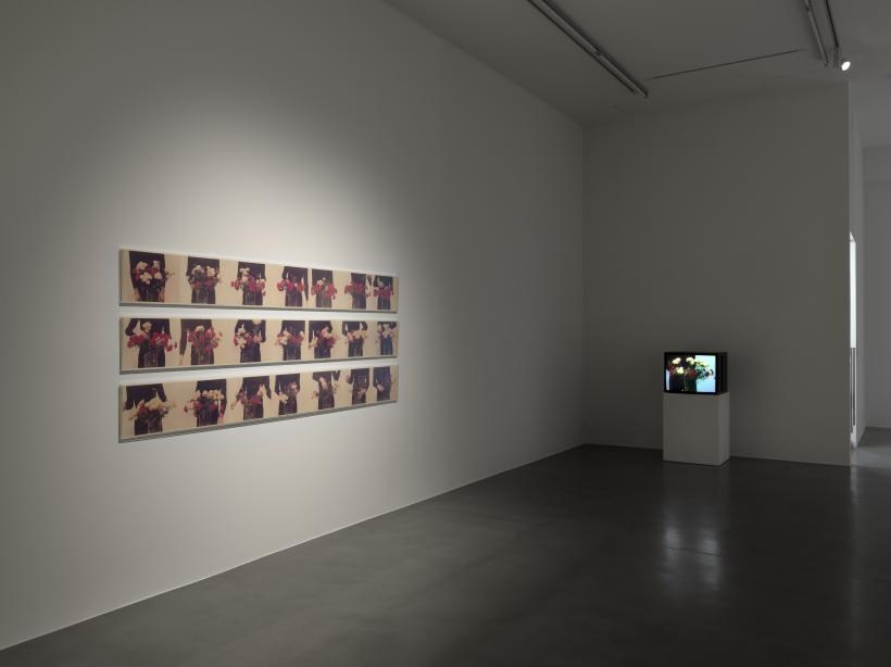 Художник Бас Ян Адер. Private image