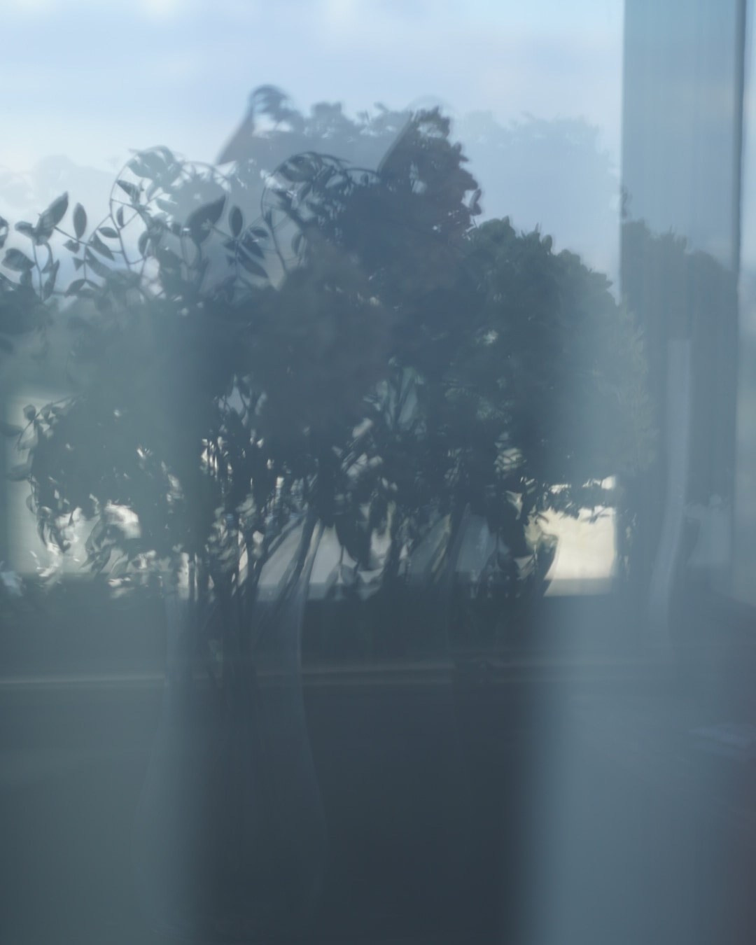 Натюрморт. Настасья Проценко. Фотограф