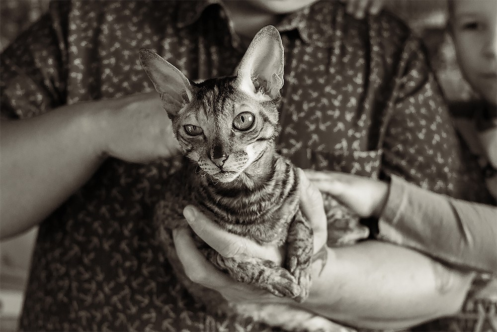 Домашняя зимняя фотосессия. Детский и семейный фотограф, фотограф мероприятий Нижний Новгород