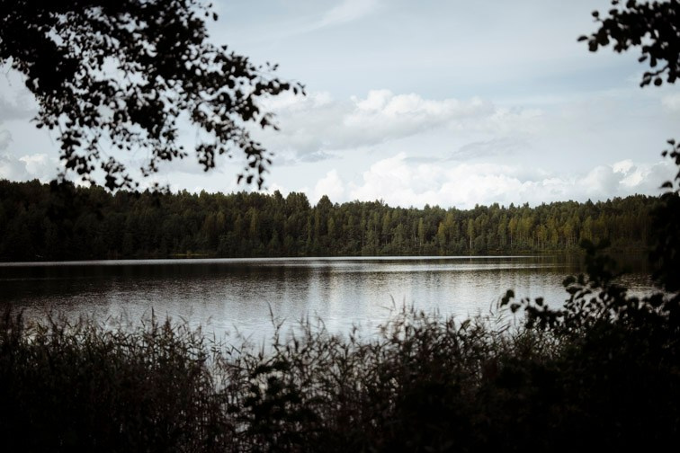 Сюжет № 12|Волкова Дарья