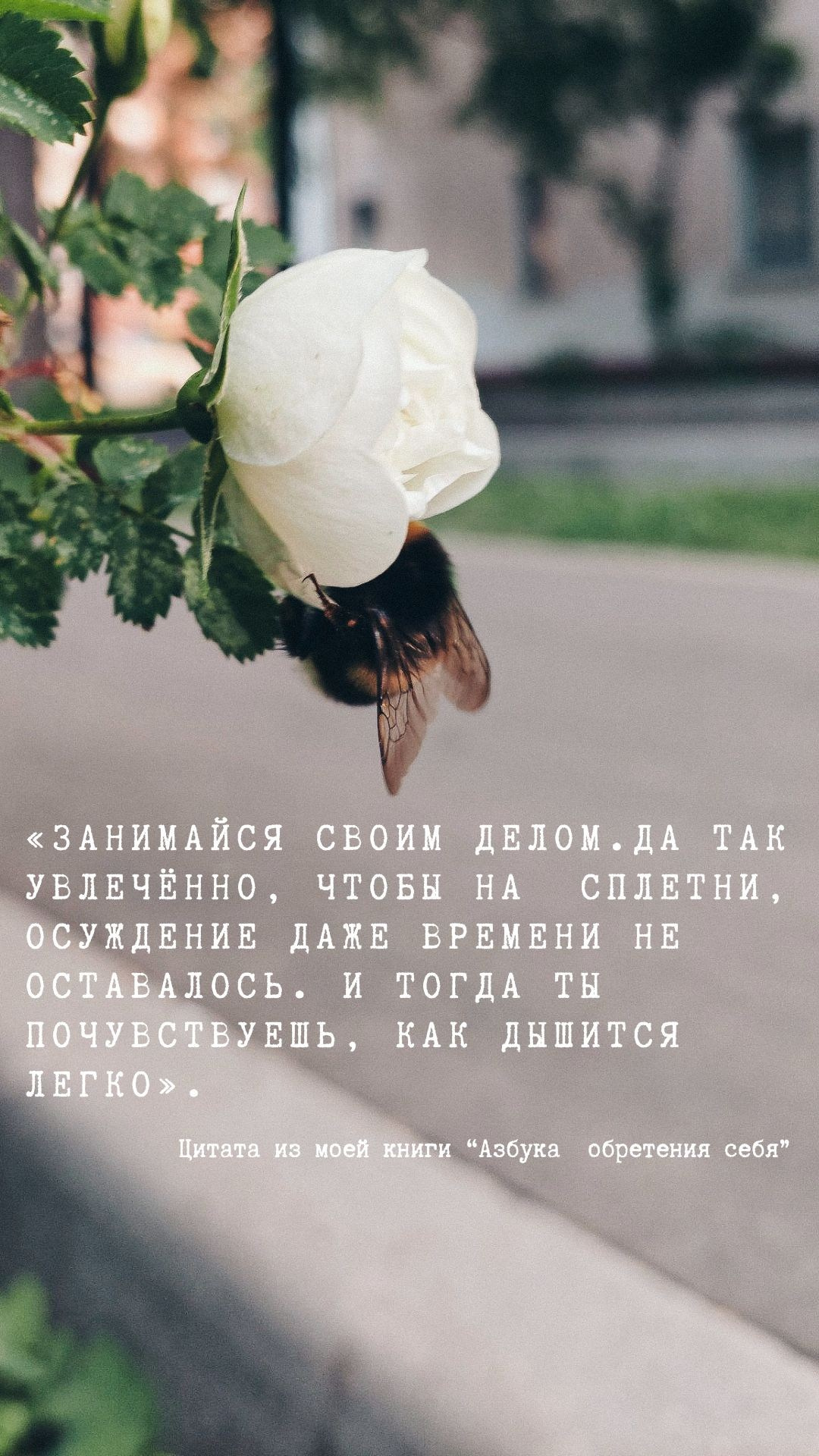 О главном. Творческая Таты Пахомовой
