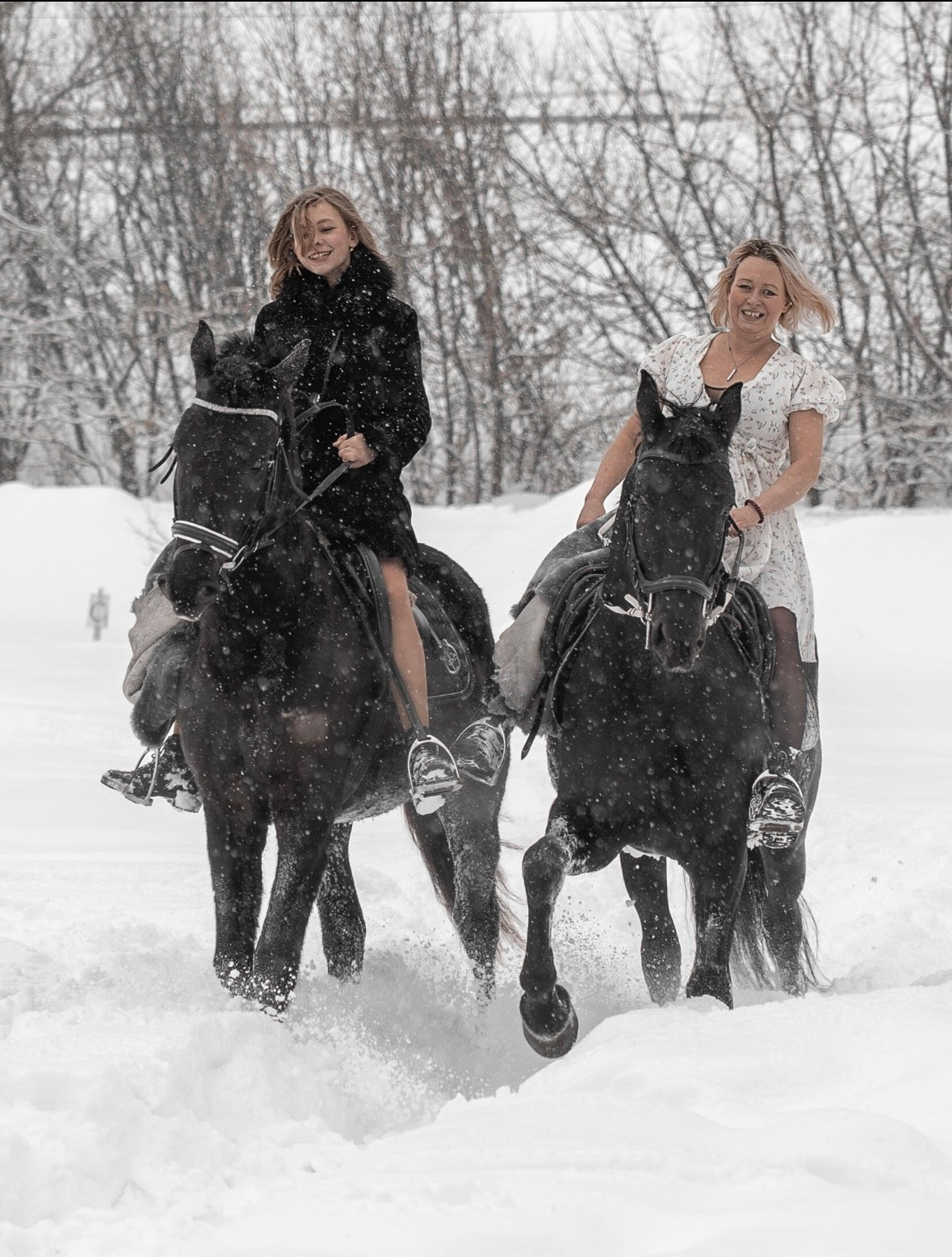 Фотопроект «На коне». ТриМедиа Продакшн