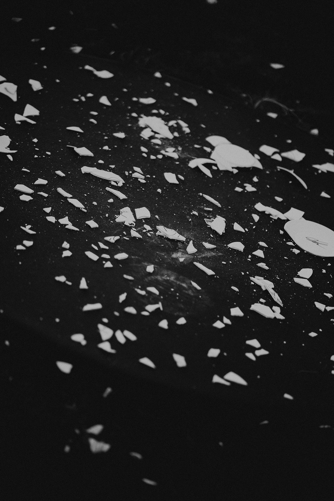 ATLANTS FAMILY DAY. Фотограф Москва Владимир Филин