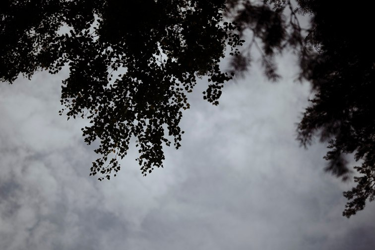 Сюжет № 12|Волкова Дарья