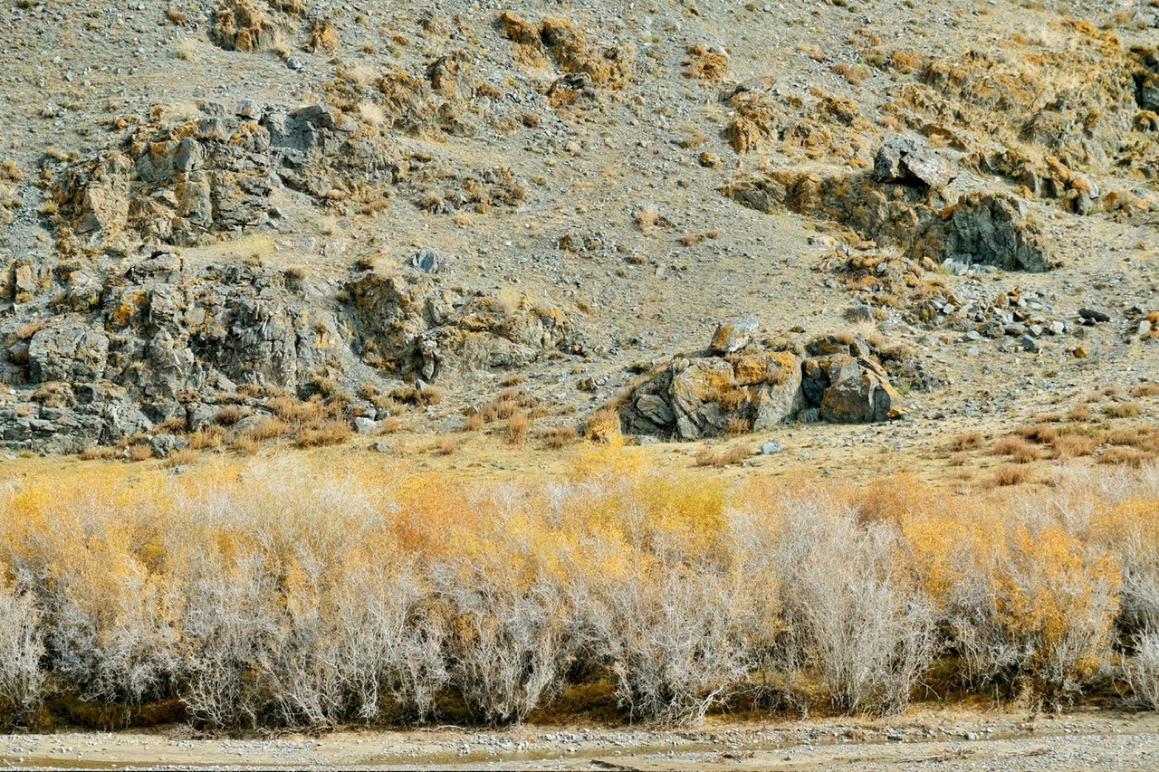 Алтай. Фотограф Евгений Андреев