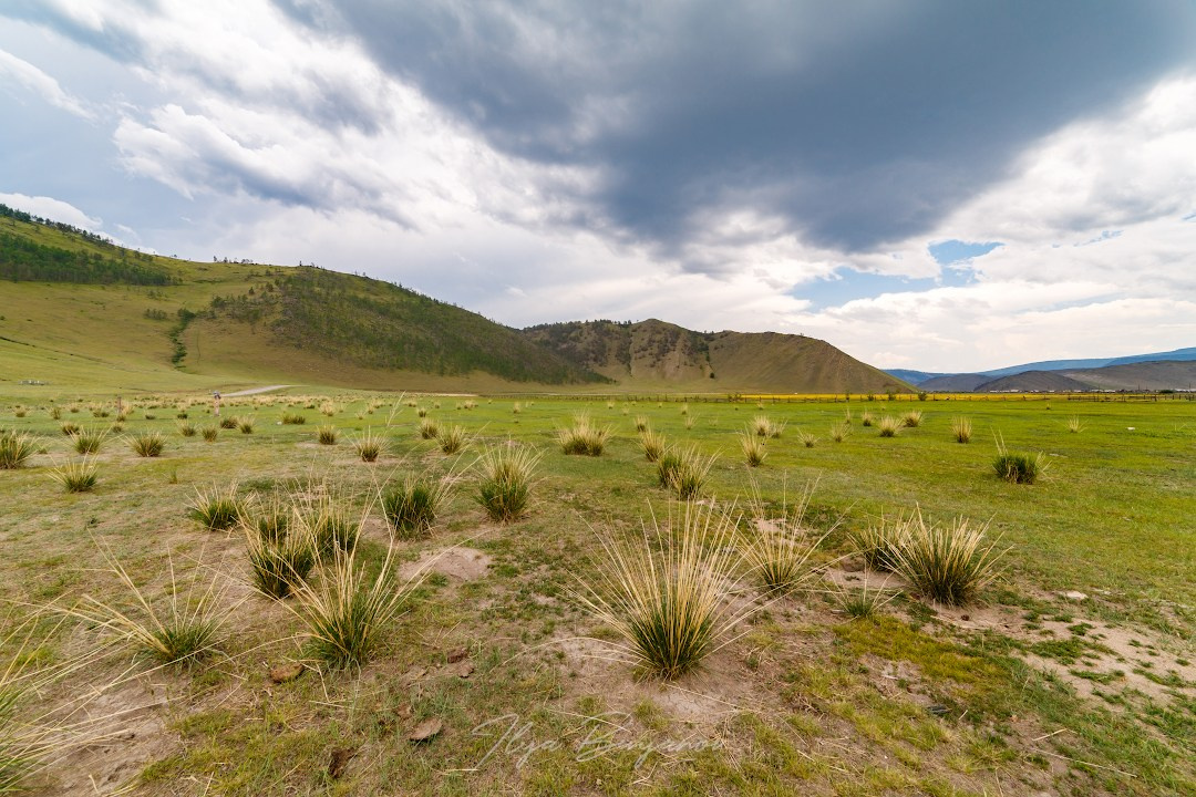 Тажеранская степь. Илья Буянов, гид по Байкалу, фотограф — baikalsky.com