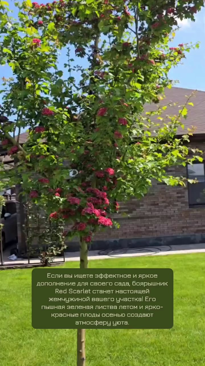 Участок Оксана. Дизайн интерьера, мебели и ландшафта на КМВ | OXY Design