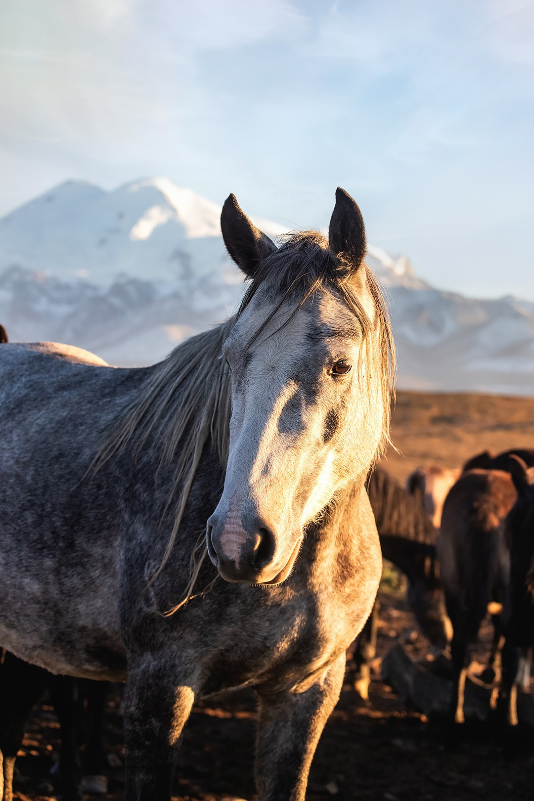 Карачаево-Черкесия '23. BrisArts
