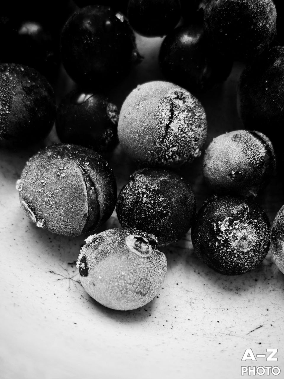 #ФОТОНЕДЕЛИ 19.01.2026. Женский семейный фотограф Тула Москва Захарова Анна