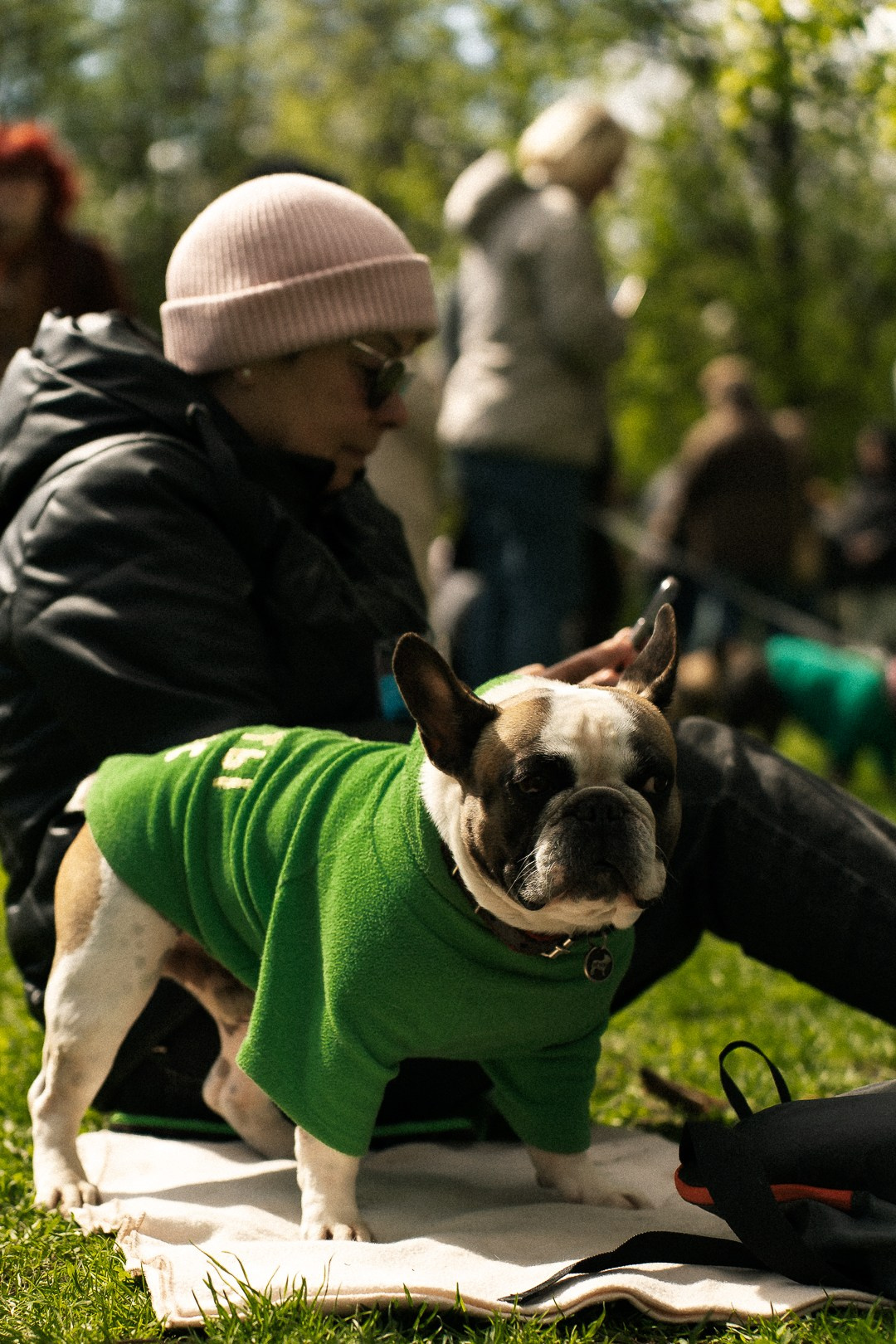 Парад Бульдогов. Axenov_eugene