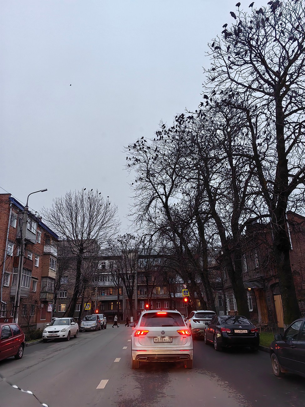 Мобильная фотография. Фотография — это воспоминания…