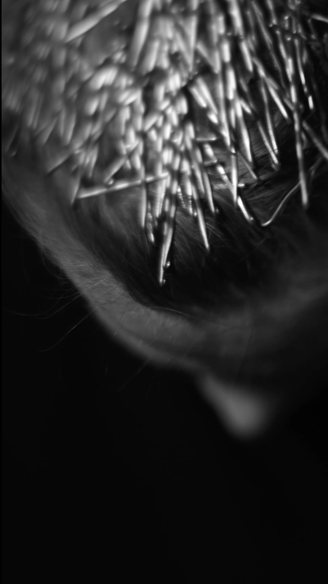 Видеоинсталляция Место Пробела. Художественная группа «Нежные Бабы»