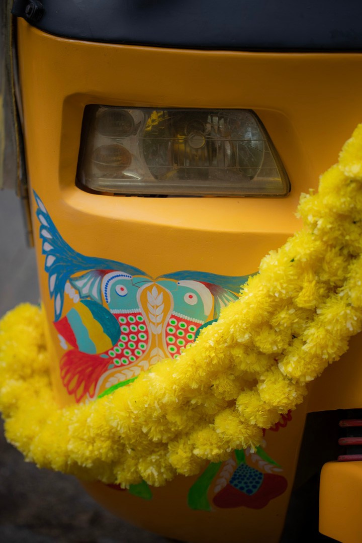 Krishna Janmashtami. Самид Али, фотограф из Санкт-Петербурга, Россия