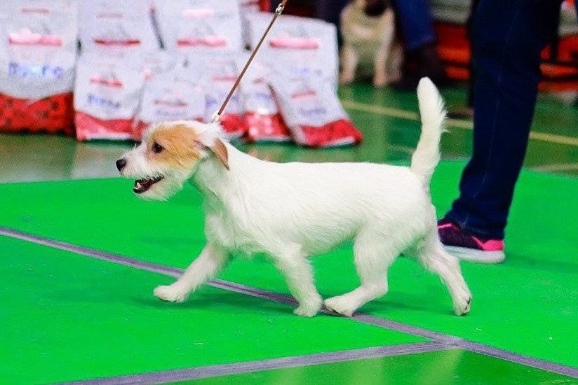 Lovely-Orange Millenium