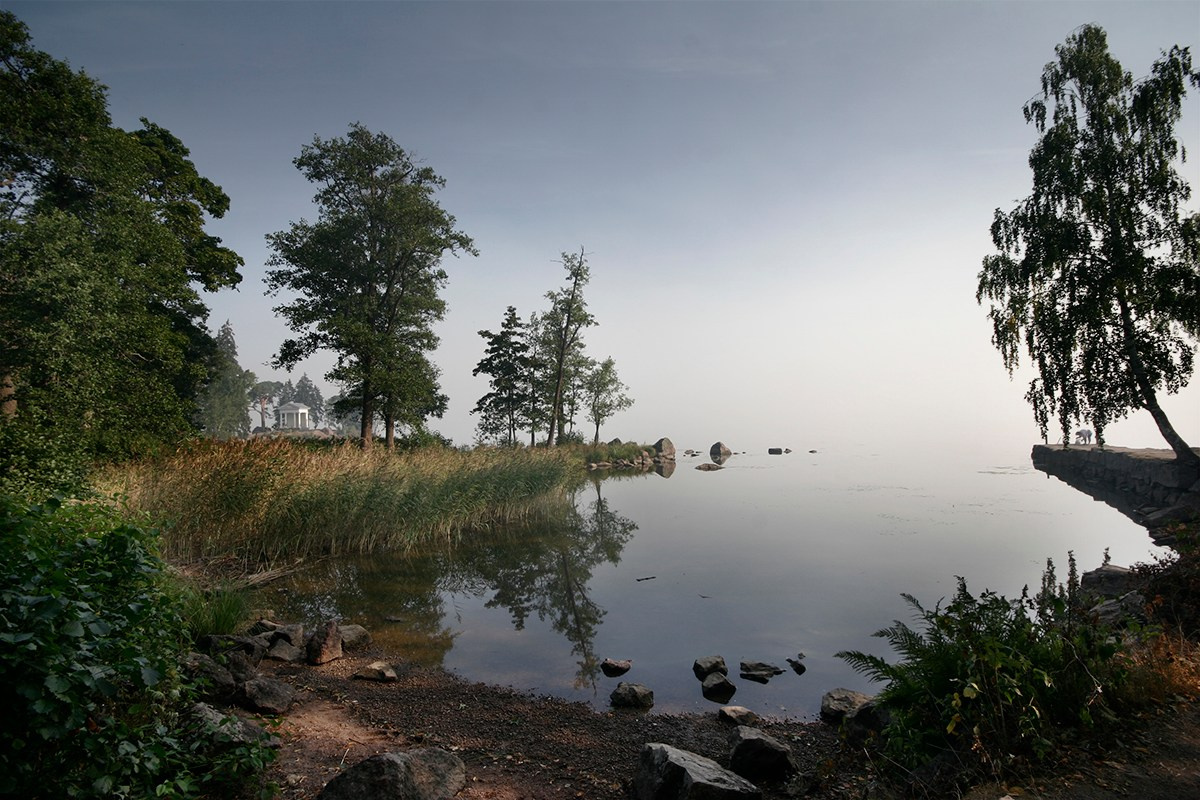 Парк Монрепо. Фотограф Василий Буланов