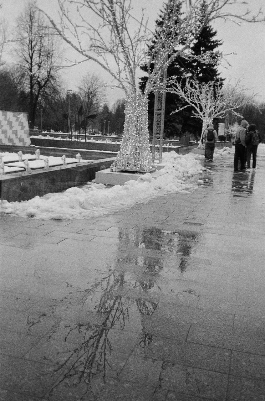 30.11.2024 // Фотоэкскурсия по Воробьевым горам с your_guide_msk. Фотовыставки serebro.gallery, в которых автором можешь стать ты! | Москва