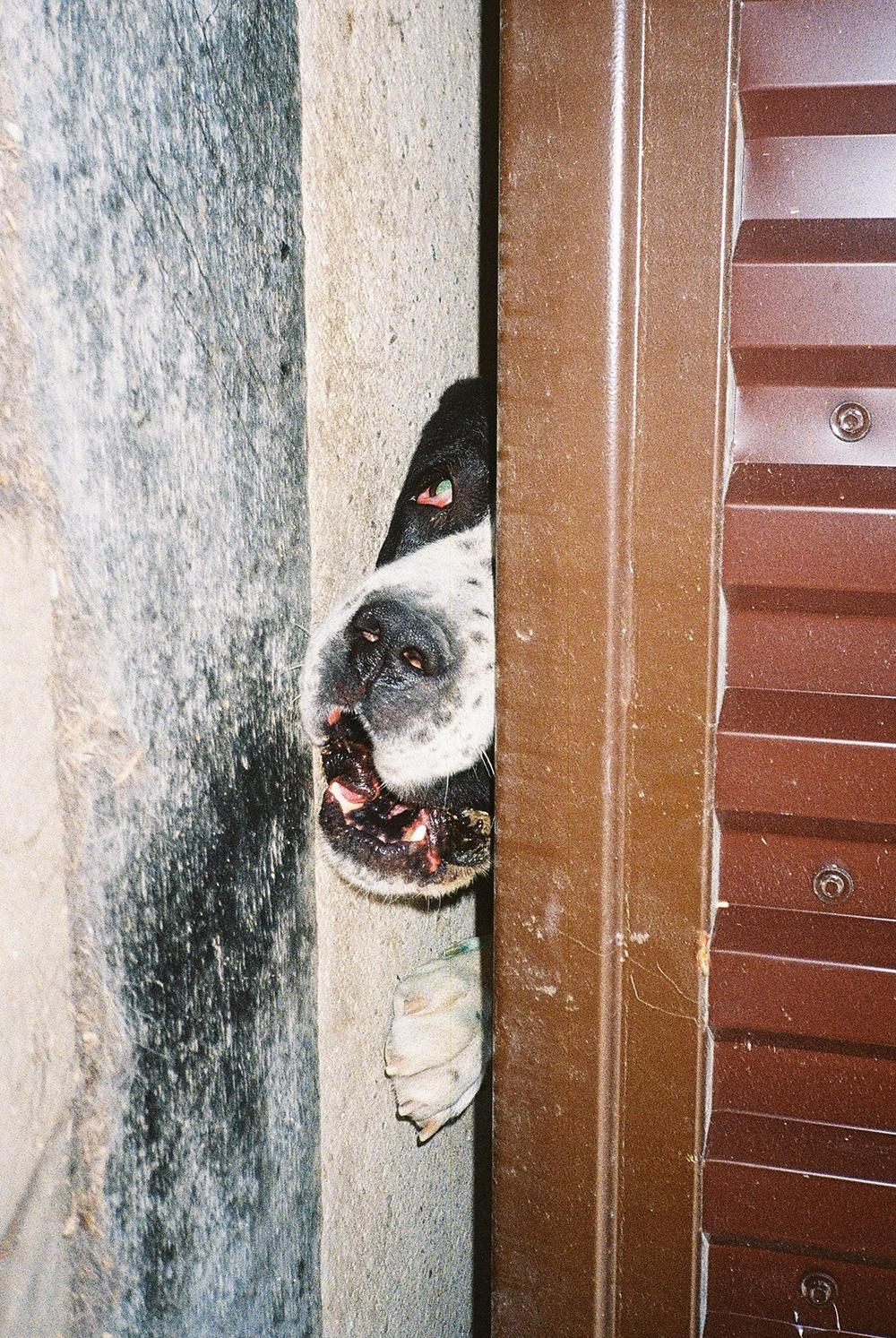 RANDOM. Nik Paustovskiy photography