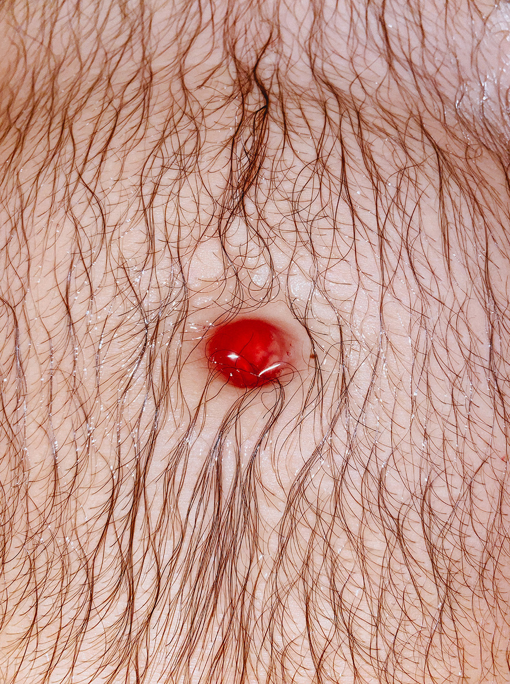 RANDOM. Nik Paustovskiy photography