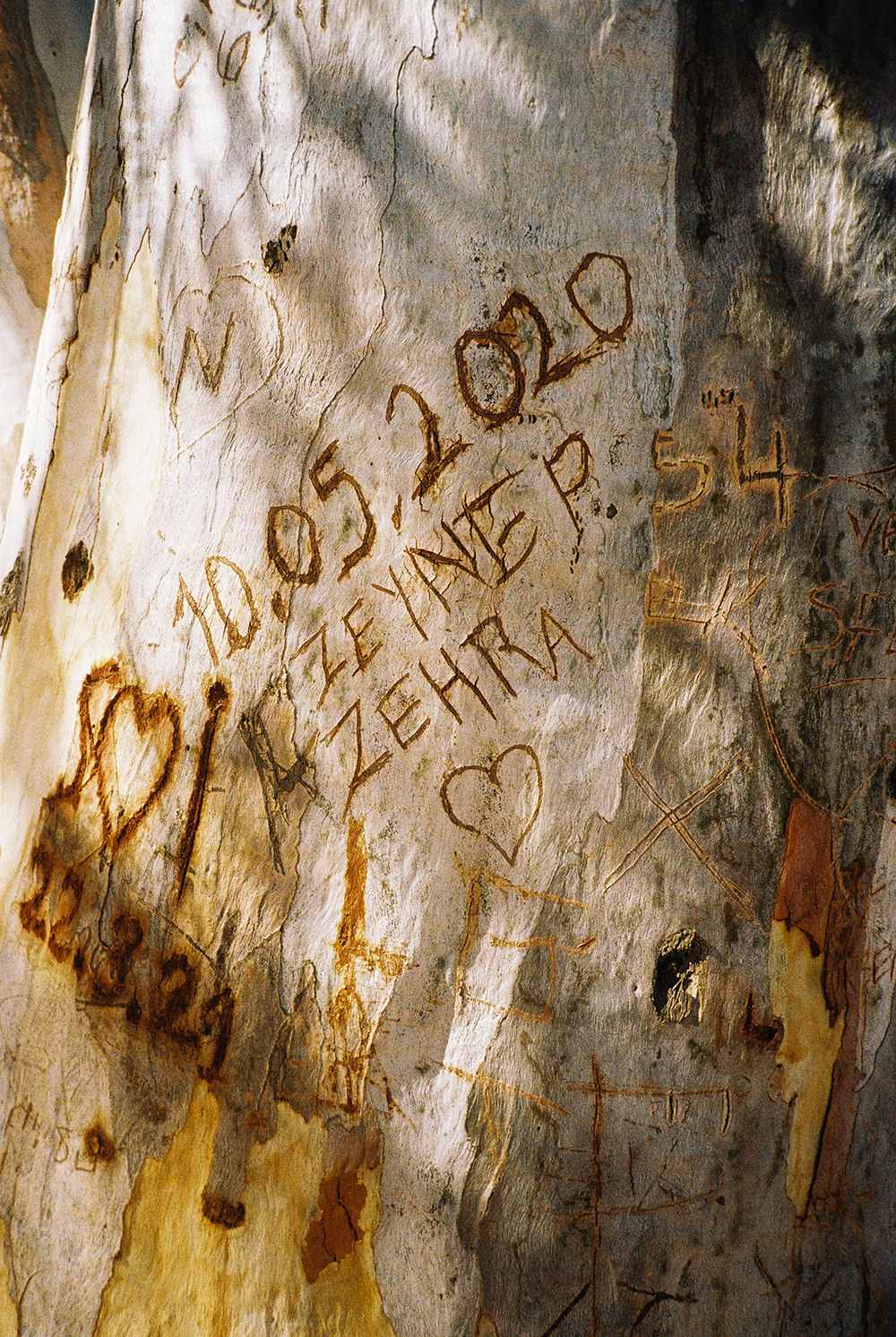 RANDOM. Nik Paustovskiy photography