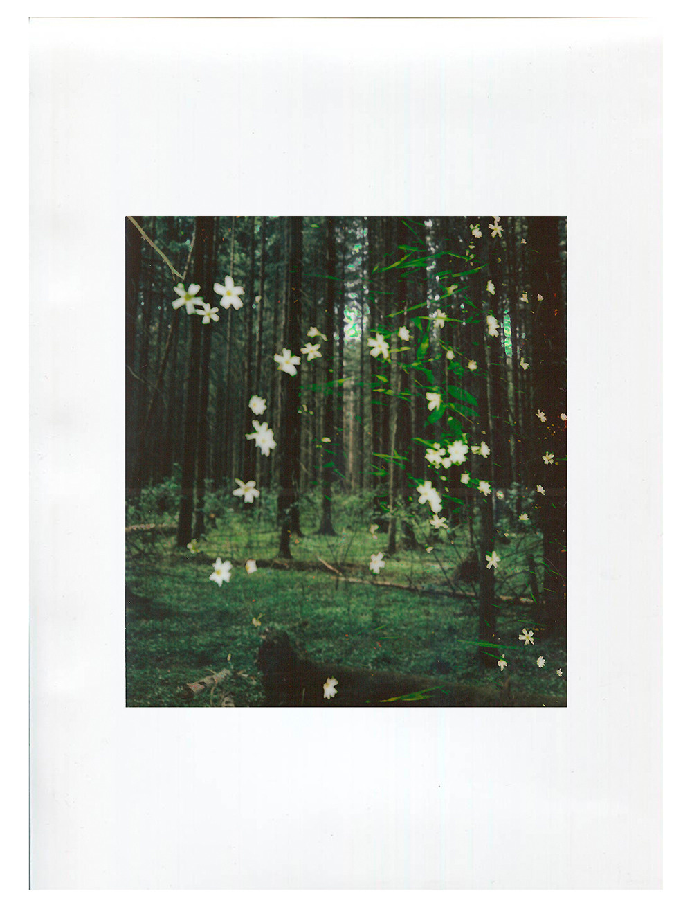 RANDOM. Nik Paustovskiy photography