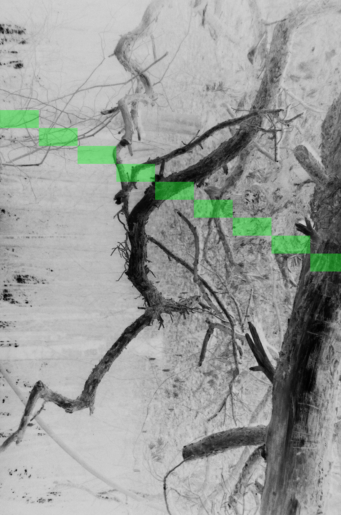 'INVERTED CITY'. Nik Paustovskiy photography